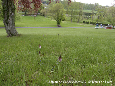 4c-0045-SH109911