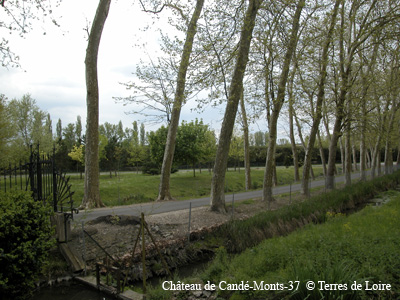 4c-0092-DSCN1011