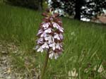 4c-0087-DSCN1010