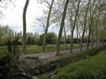 4c-0092-DSCN1011