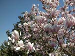 189-DSCN0264
