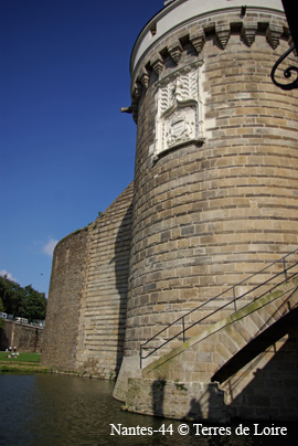 csSG100696