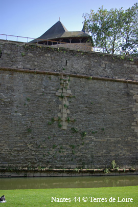 dwSG100736