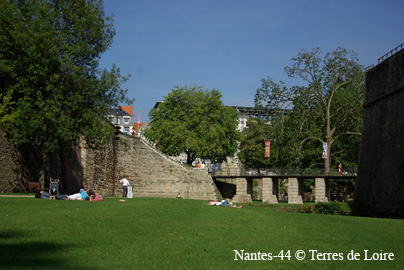 dzSG100726