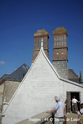 hlSG100429