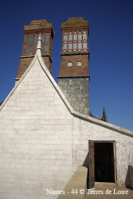hnSG100443