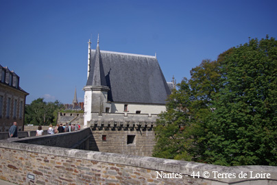 ihSG100460