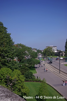 ilSG100463