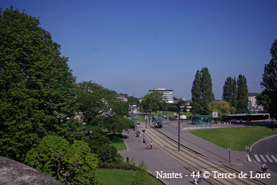 imSG100462