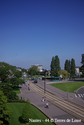 ipSG100465