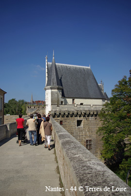 jzSG100495