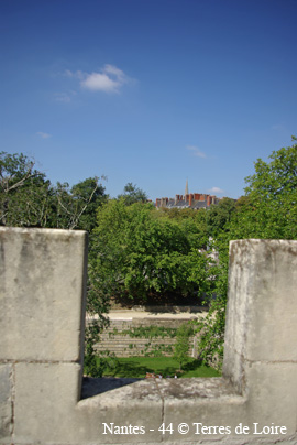 kvSG100522