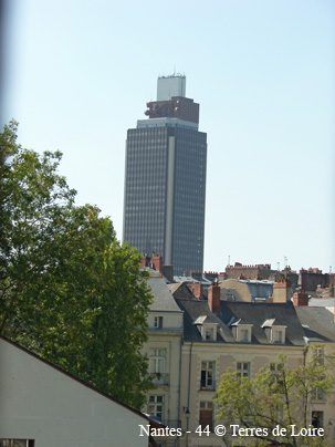 ldSH106846