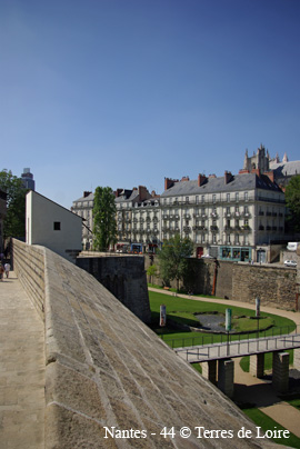lnSG100530