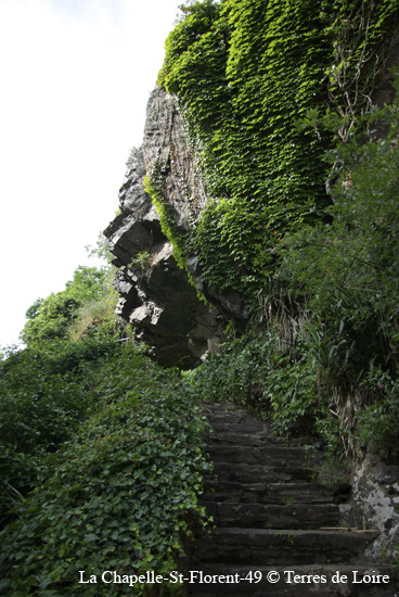 096-SG100147