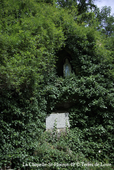 097-SG100149