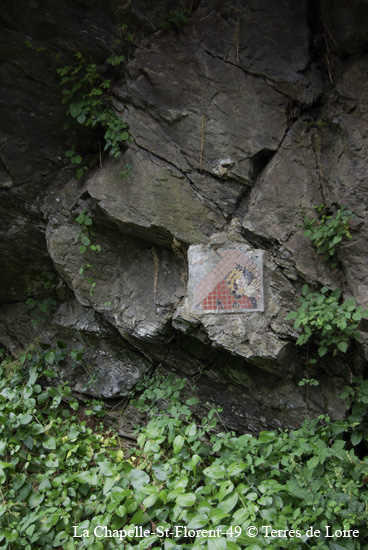 117-SG100126