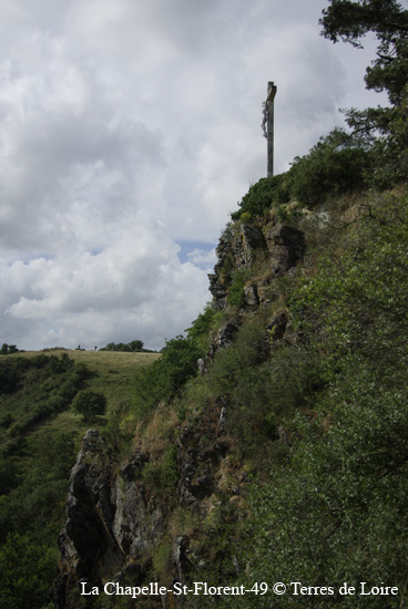 190-SG100213