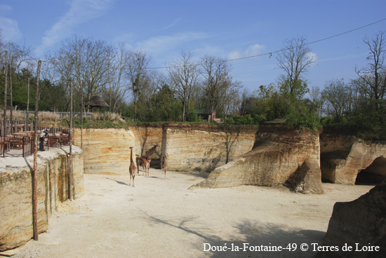 37-DSC_1877