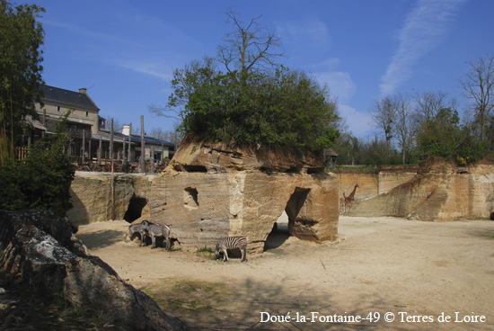 64-DSC_1869