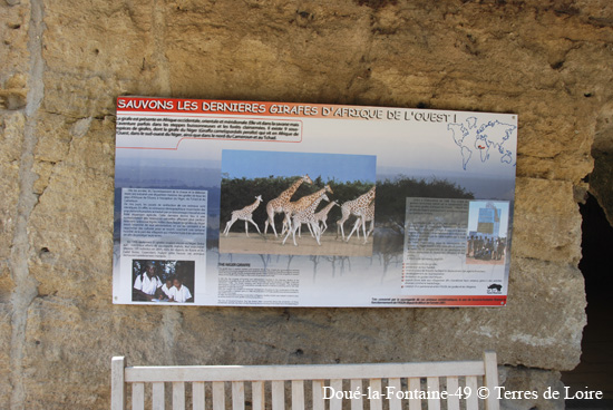 91-DSC_1849