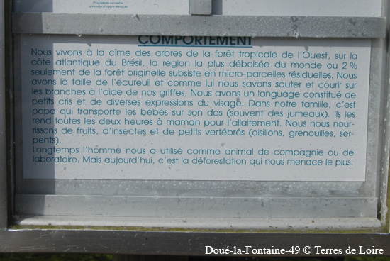 095-DSC_1903