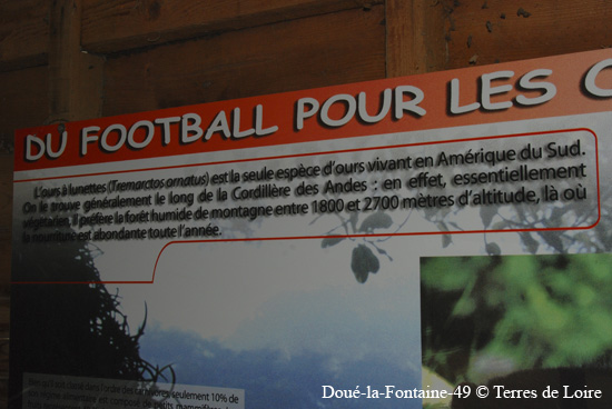 125-DSC_2008