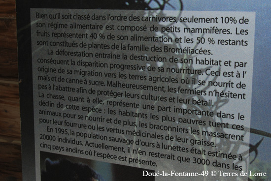 126-DSC_2009
