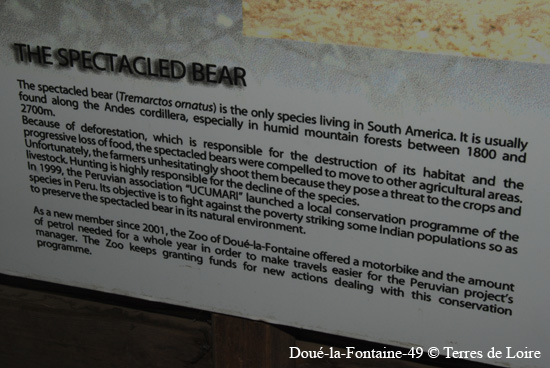 127-DSC_2010