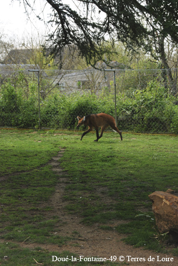 146-DSC_2059