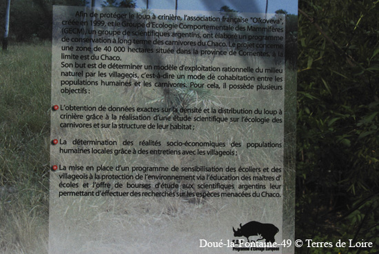 153-DSC_2047