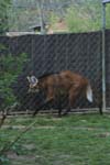 142-DSC_2052