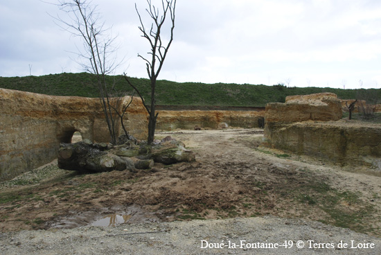 105-DSC_2205