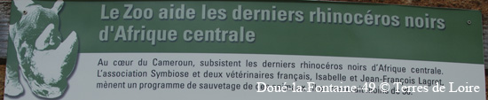 128-DSC_2189