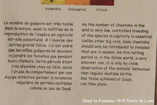139-DSC_2335