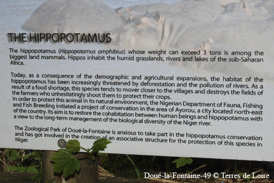 169-DSC_2352