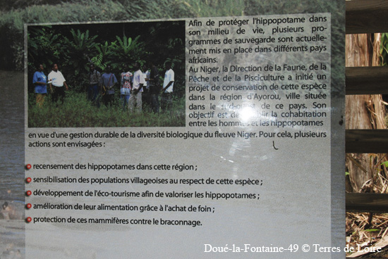 171-DSC_2354