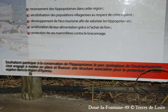 172-DSC_2355