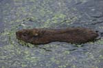 071-DSC_0280