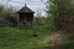 086-DSC_2173