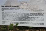 169-DSC_2352