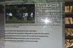 171-DSC_2354