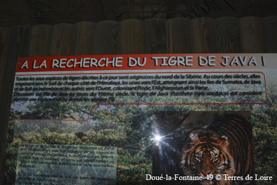 039-DSC_2306
