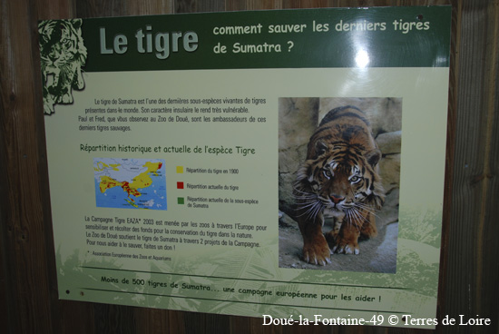 046-DSC_2313