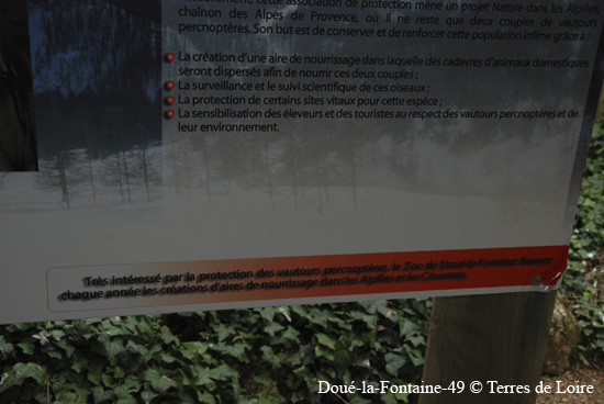 041-DSC_2441