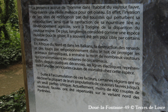 050-DSC_2422
