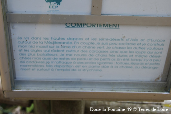 056-DSC_2415