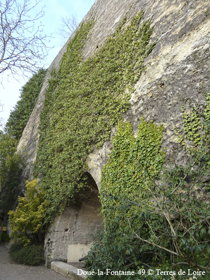 080-P1150019