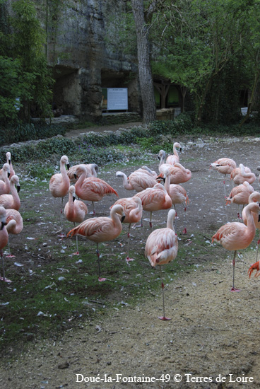 104-DSC_2470