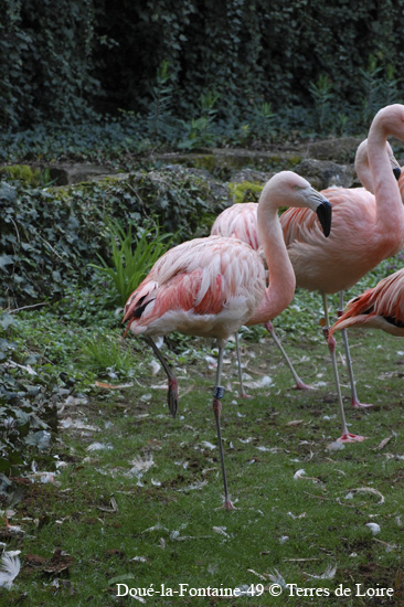 107-DSC_0342